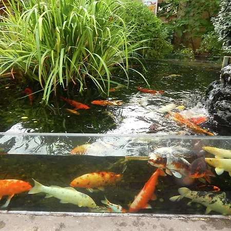 Appealing In Vezac With Swimming Pool *