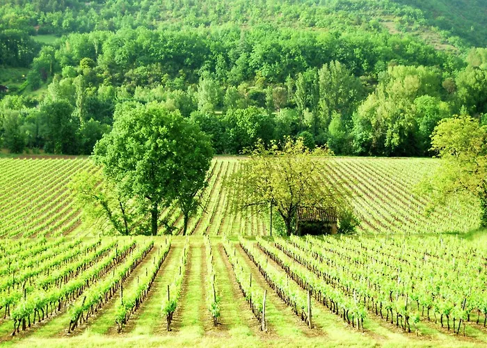 Appealing In Vezac With Swimming Pool * Beynac-et-Cazenac
